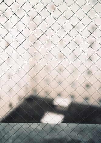 揺らぎ - "In Your Languages"