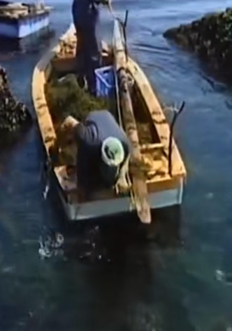 Umi to otsukisama tachi