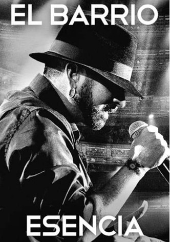 El Barrio: Esencia