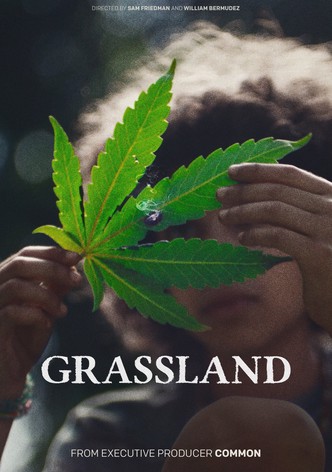 Grassland