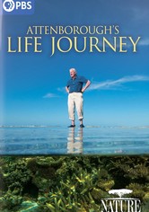 Attenborough's Life Journey