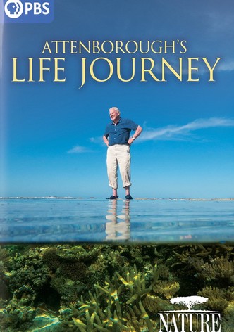 Attenborough's Life Journey