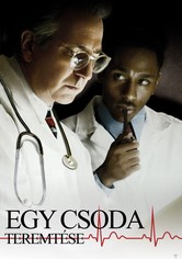 Egy csoda teremtése