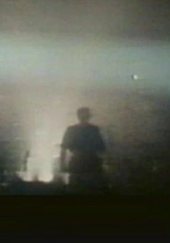 Laibach: The Platform