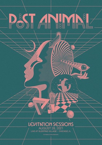 Post Animal - Levitation Sessions