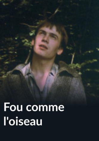 Fou comme l'oiseau