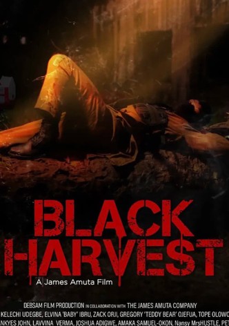 Black Harvest