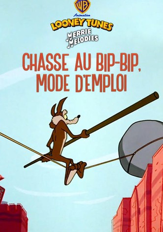 Chasse au Bip-Bip, mode d'emploi