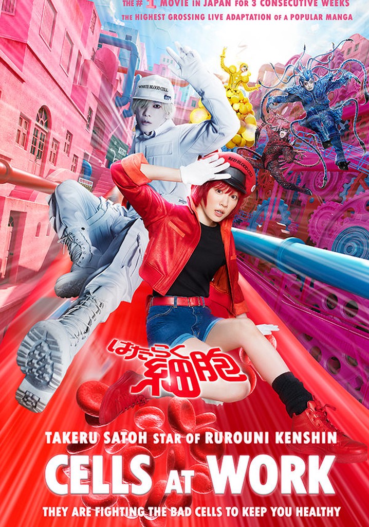 Cells at Work! streaming: where to watch online? - Where To Watch Cells At Work Season 2