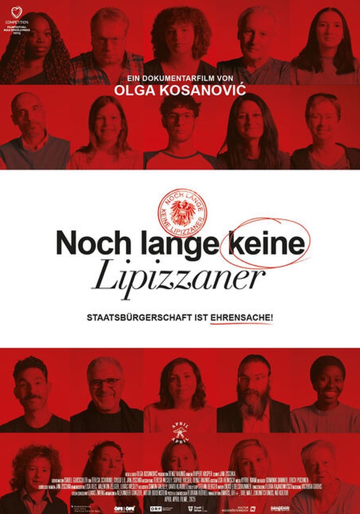 Noch lange keine Lipizzaner