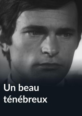 Un beau ténébreux