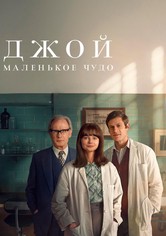 Джой: маленькое чудо