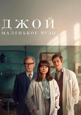 Джой: маленькое чудо