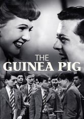 The Guinea Pig