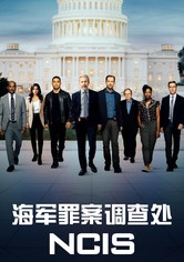 海军罪案调查处