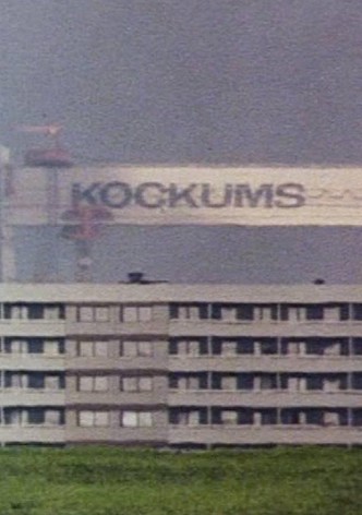 Nålsögat: En film om möjligheter