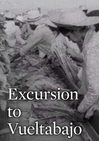 Excursion to Vueltabajo