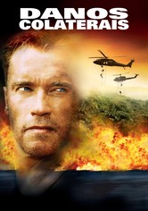 Danos Colaterais