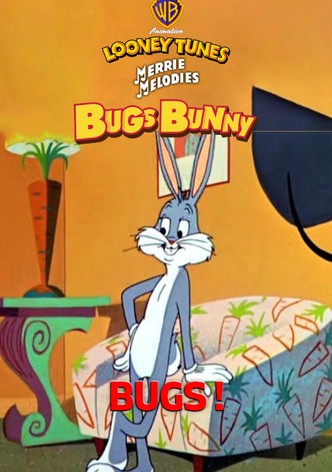 Bugs !