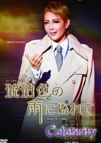In the Amber-Hued Rain / Celebrity