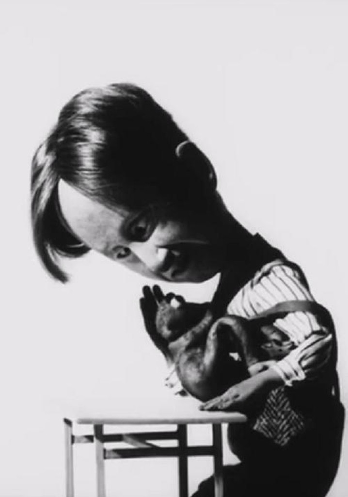 Brothers and Sisters