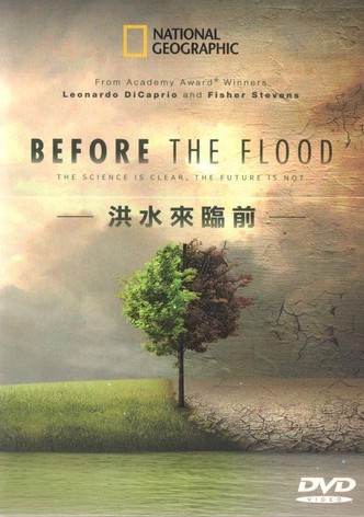 洪水来临前