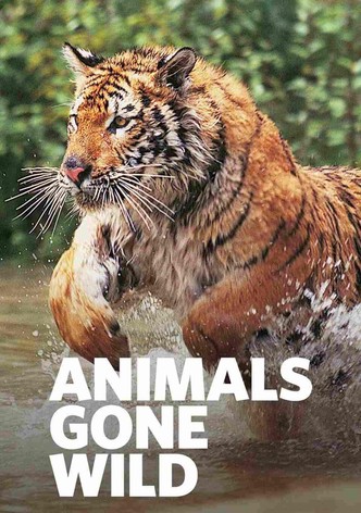 Animals Gone Wild