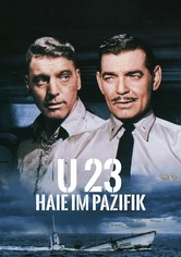 U 23 - Haie im Pazifik