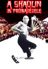 A Shaolin 36 próbatétele