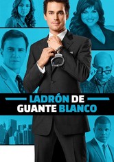 Ladrón de guante blanco