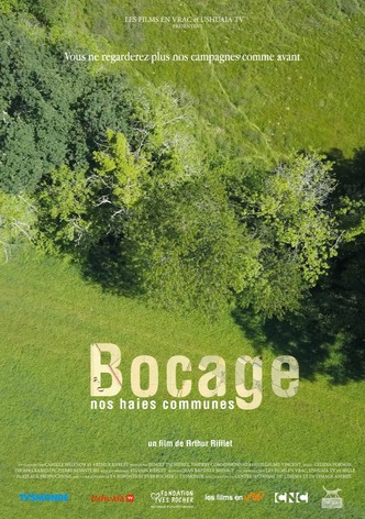 Bocage, nos haies communes
