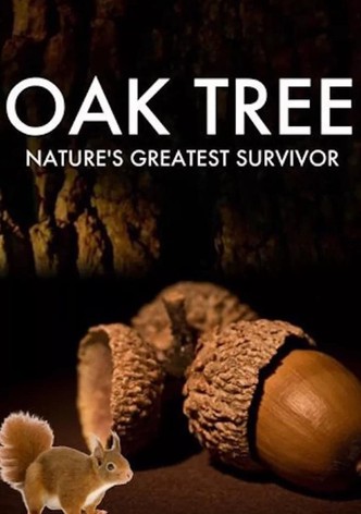 Oak Tree: Nature's Greatest Survivor