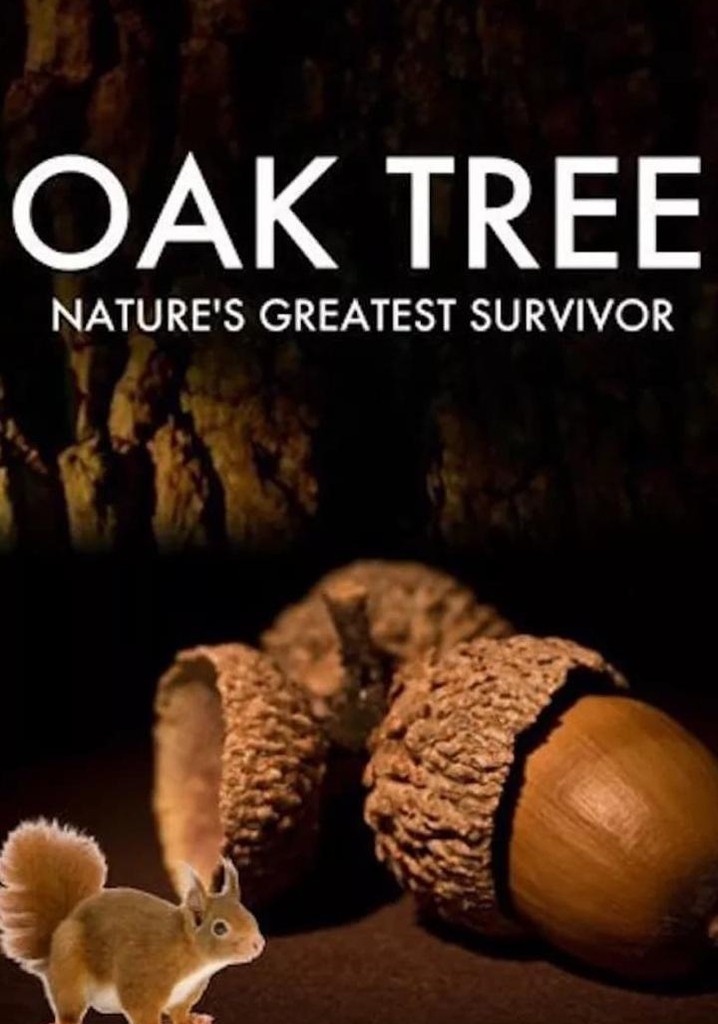 Oak Tree: Nature's Greatest Survivor