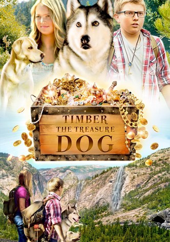 Timber the Treasure Dog
