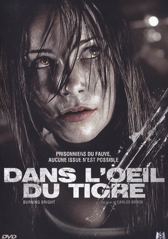 Dans l'œil du tigre