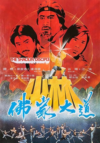 The Shaolin Disciple