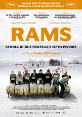 Rams - Storia di due fratelli e otto pecore