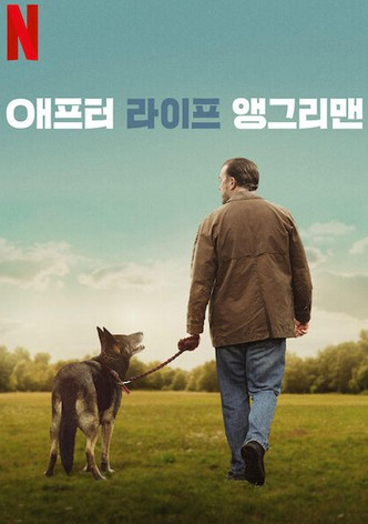 애프터 라이프 앵그리맨