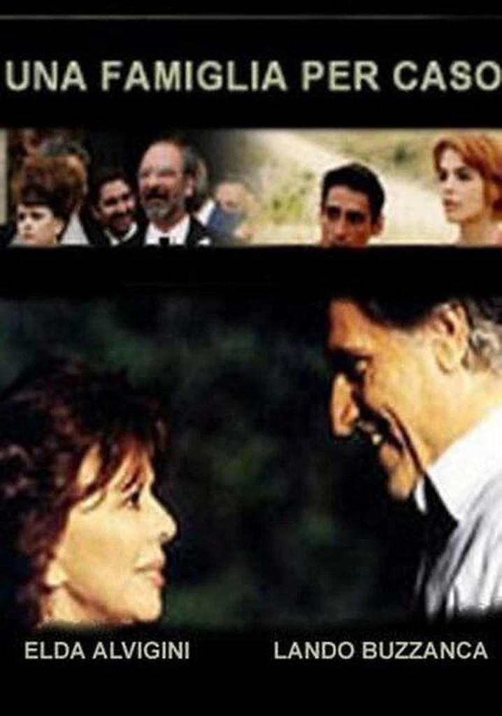 Una famiglia per caso