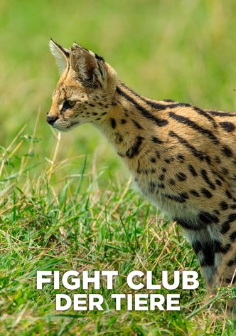 Nature's Fight Club - Säsong 1