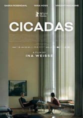Cicadas