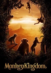 El reino de los monos