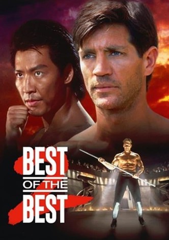 Karate tiger 6: Nejlepší z nejlepších 2