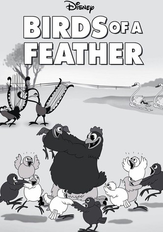 Birds of a Feather