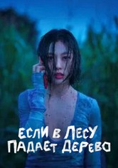 В лесу, где никого нет