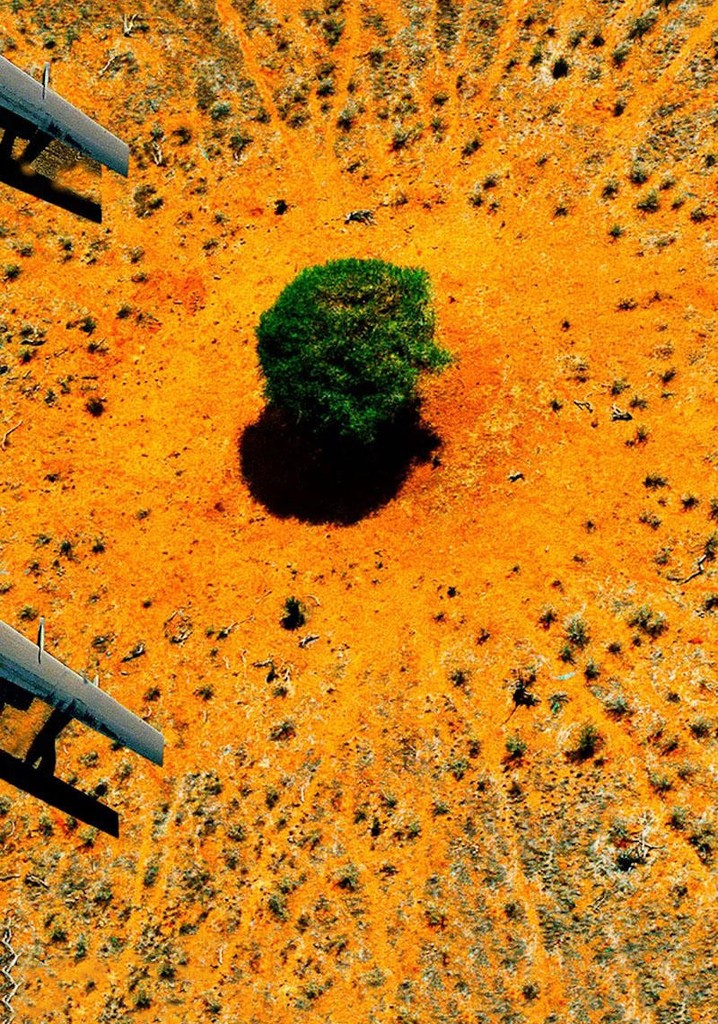 Nature : pour une réconciliation