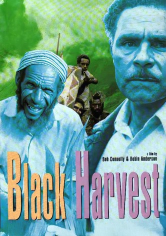 Black Harvest