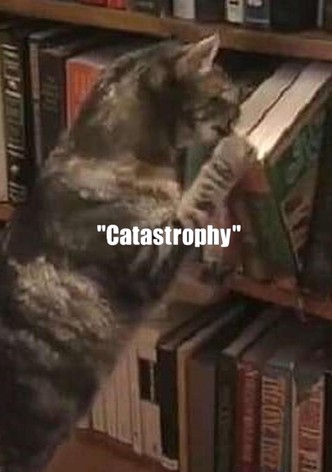 Catastrophy