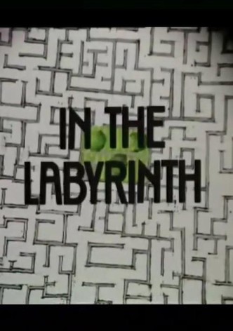 In the Labyrinth