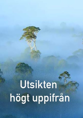 The View From on High